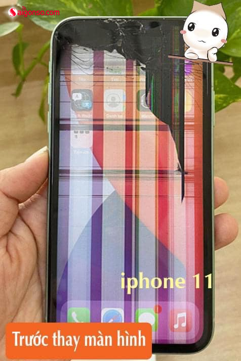 iPhone 11 Thegioididong hư màn hình